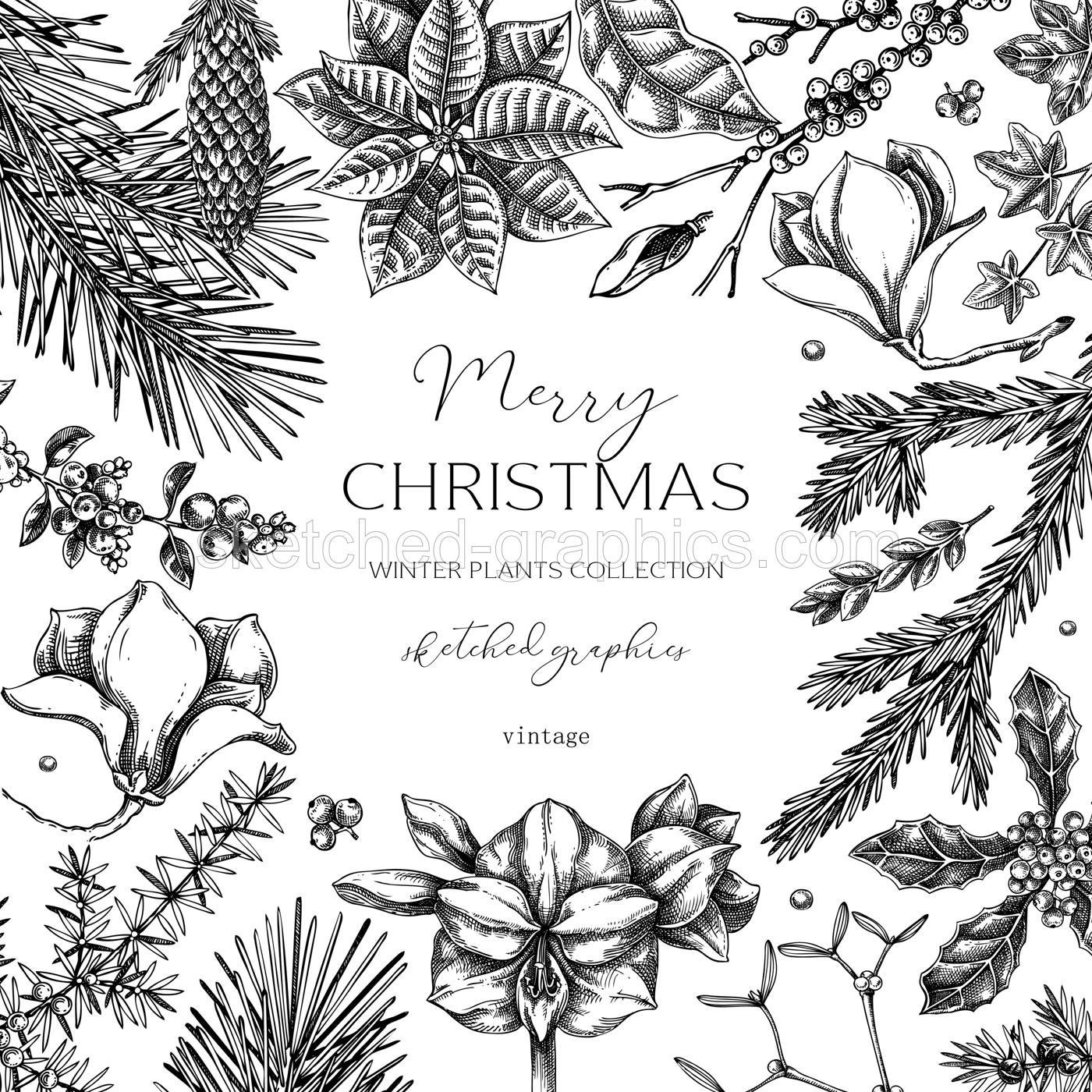 Vintage Christams card template. Minimalist style winter wedding invitation design. Conifer trees, winter flowers sketches. Hand-drawn botanical illustration. NOT AI generated Illustration